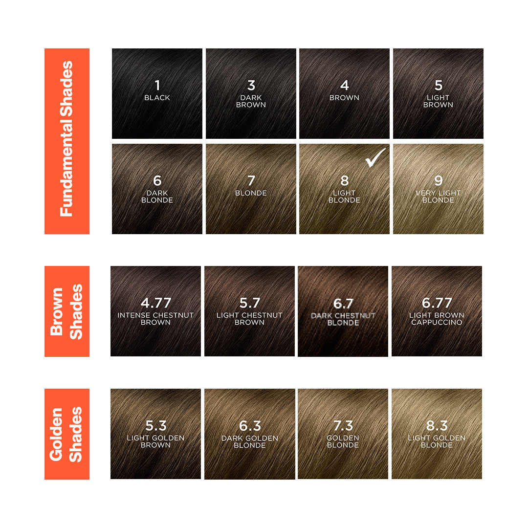 Phyto - Phytocolor 8 Light Blonde Permanent Coloring