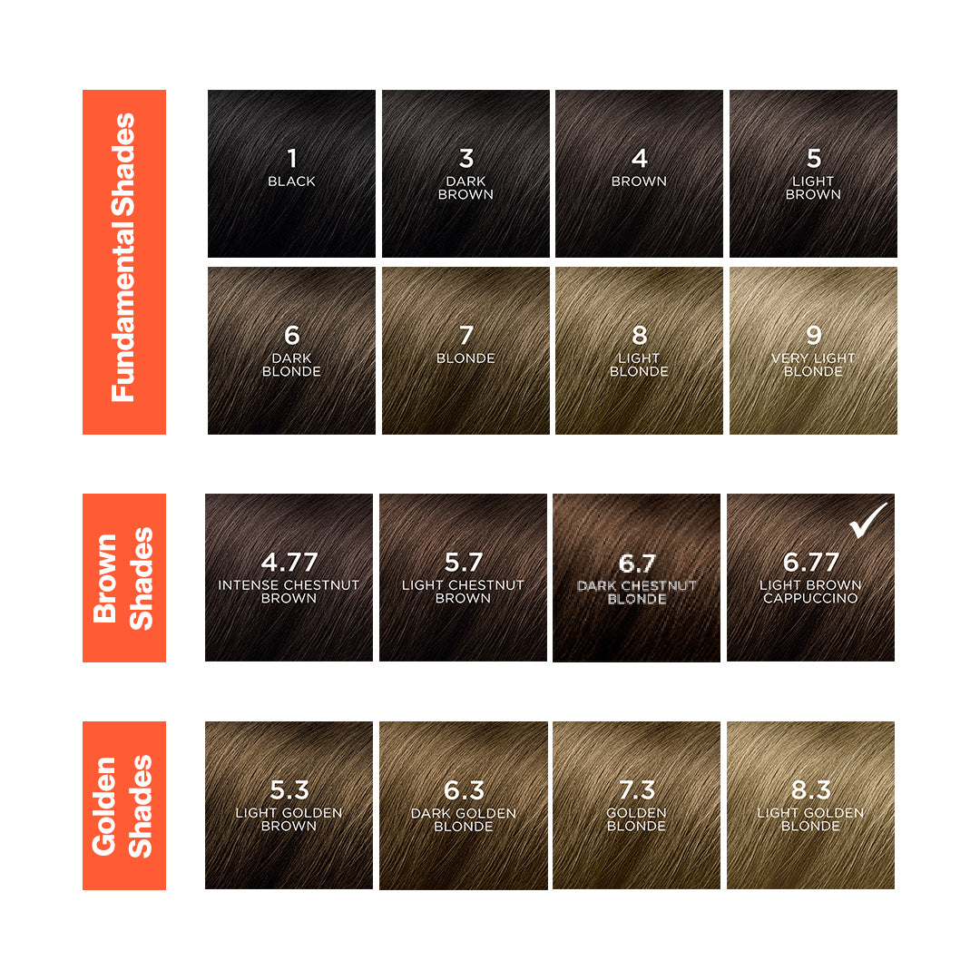 Phyto - Phytocolor 6.77 Light Brown Cappuccino Coloring